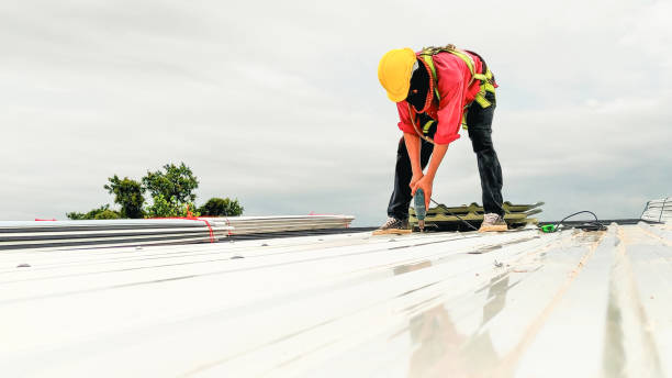 Best Rubber Roofing (EPDM, TPO)  in Bellevue, PA